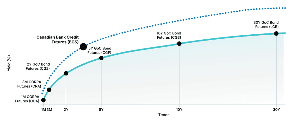 MX is building out the curve