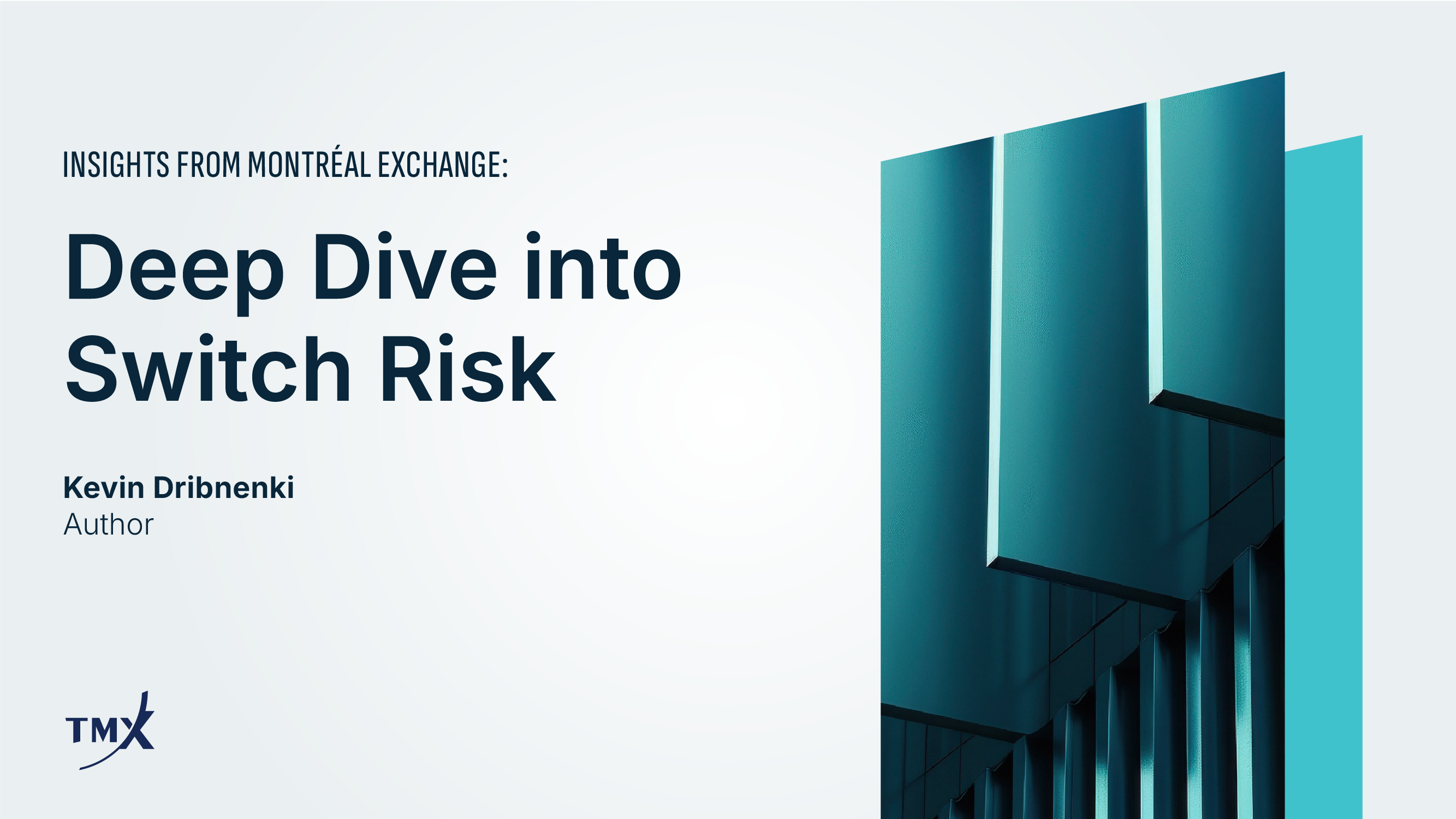 Deep Dive into Switch Risk